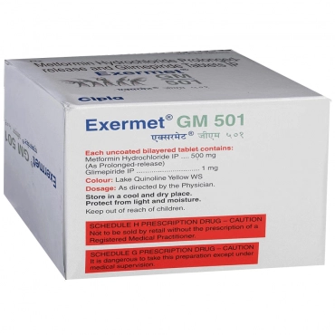 EXERMET-GM 501